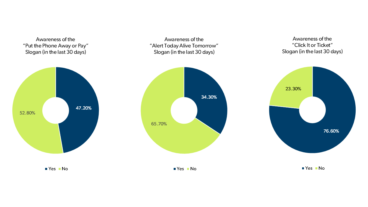 Pie charts that represent the percent of participants' awareness of different road safety slogans.